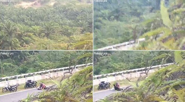 Viral Video Terbaru 2026 Main Di Tengah Jalan Top Trending Tiktok Global News